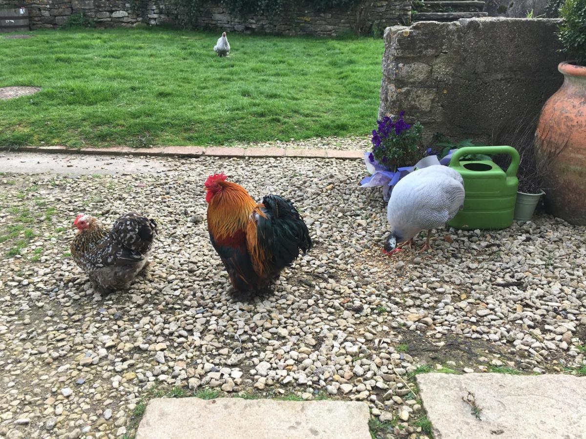 Woodcock Farm Apartment Bristol Luaran gambar